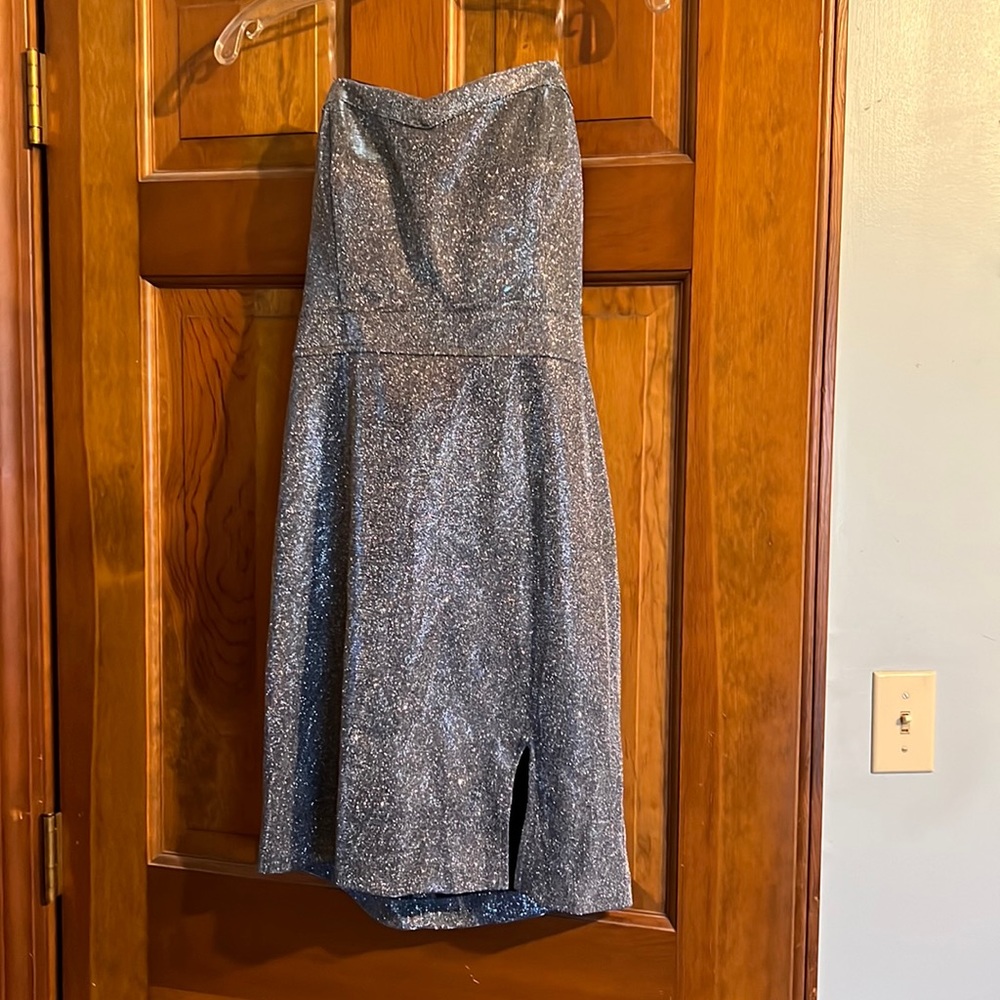 Social couture Silver Metallic stretchy Dress